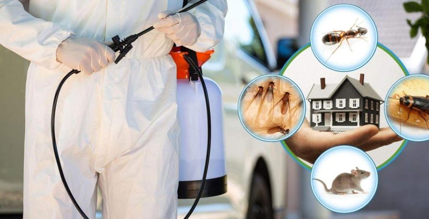 Çamaş Böcek İlaçlama